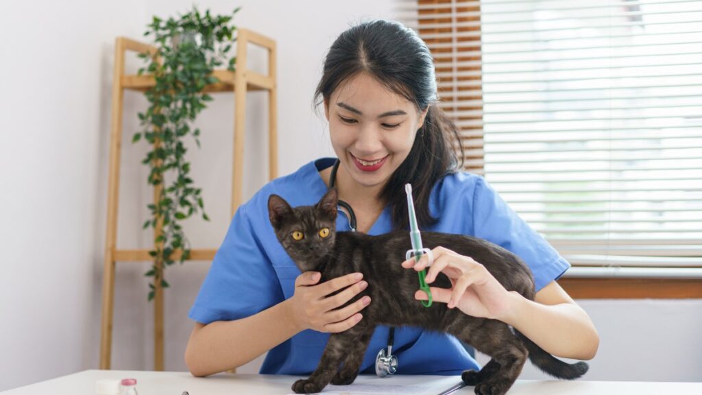 A New Era in Veterinary Care